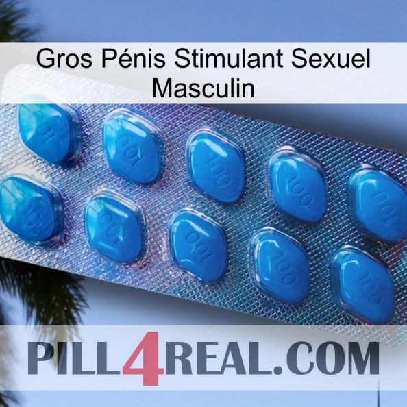 Gros Pénis Stimulant Sexuel Masculin viagra1.jpg